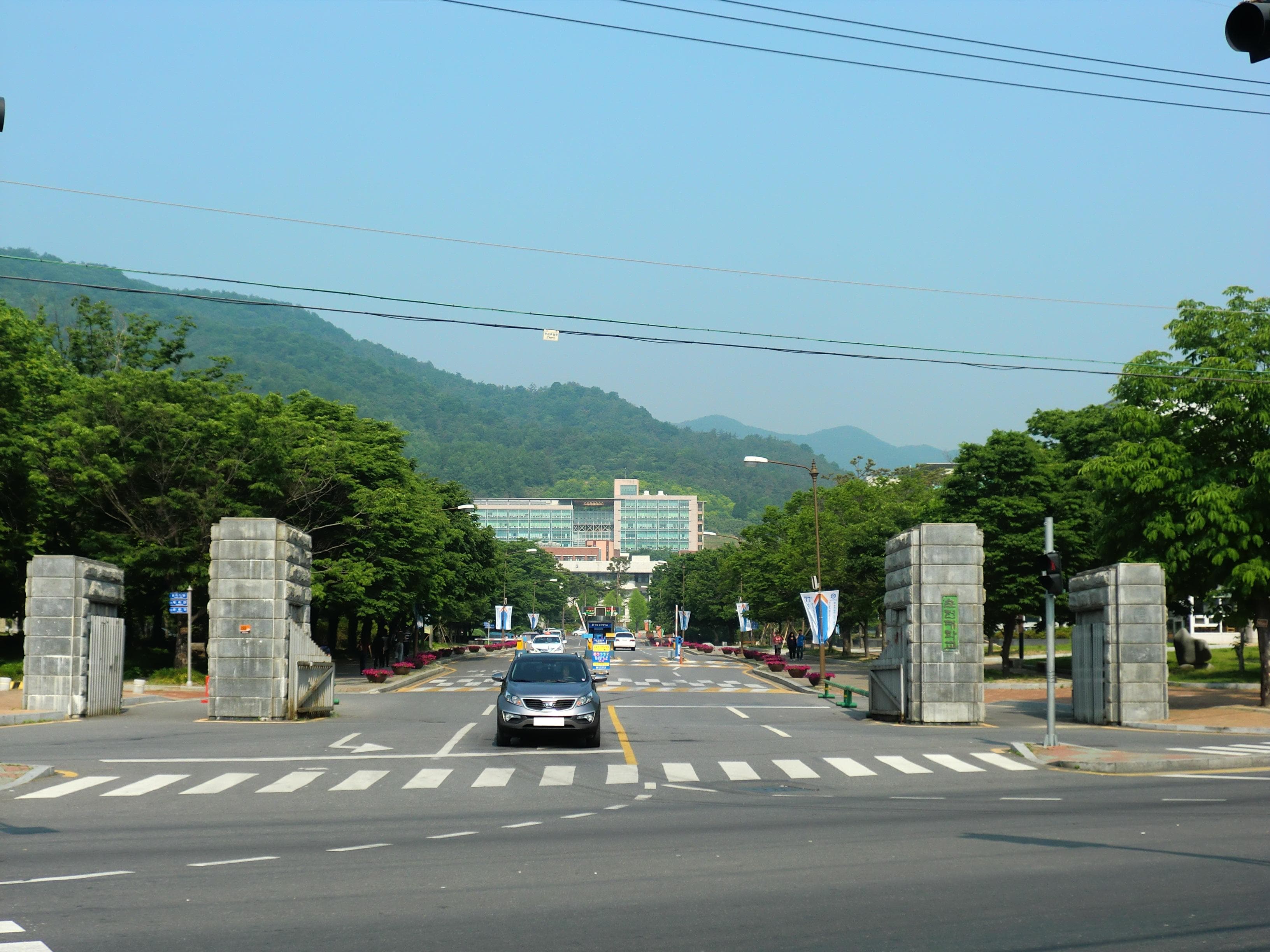 나무 사이로 보이는 국립순천대학교 정문과 건물